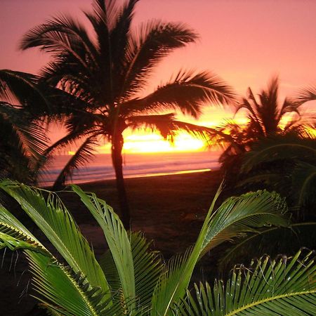 Bungalows Tree Tops - Adults Only Zihuatanejo Luaran gambar