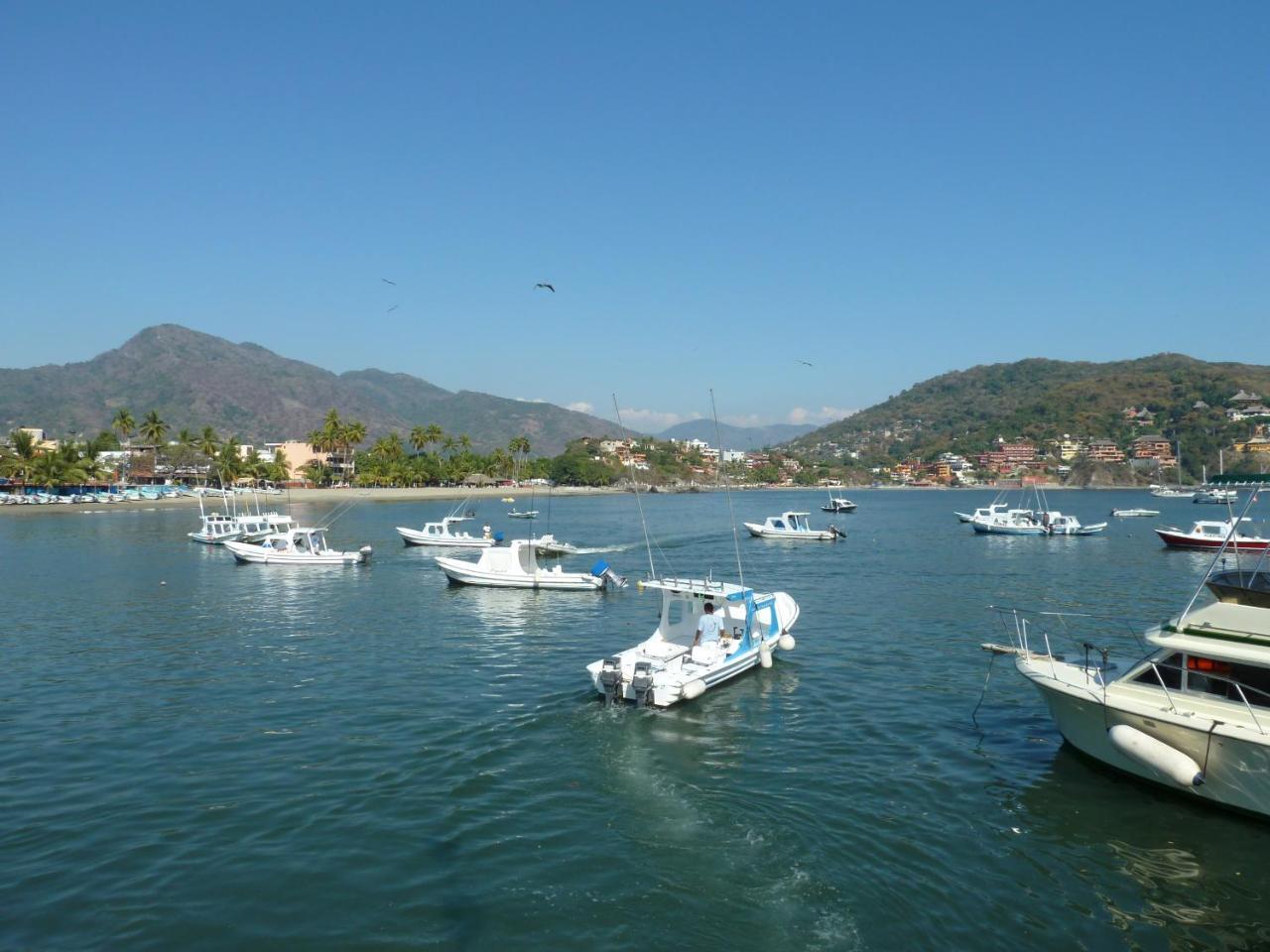 Bungalows Tree Tops - Adults Only Zihuatanejo Luaran gambar